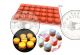 MOULE POUR MIGNARDISE (09) EN SILICONE