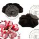 Moule Silicone fleurs en diamant