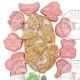 Lot de 8 Emporte-pièce pour Biscuits