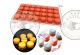 MOULE POUR MIGNARDISE (09) EN SILICONE
