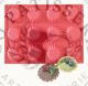 Moule Silicone 12 Mini Tartes Tunisie