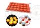 MOULE POUR MIGNARDISE (09) EN SILICONE