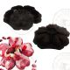 Moule Silicone fleurs en diamant