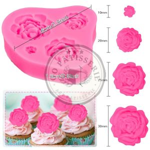 Moule de modelage pâte à sucre en silicone